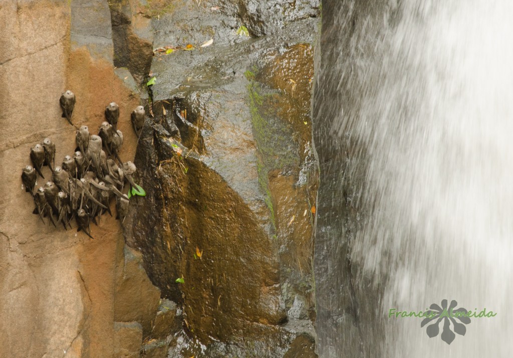 11092014-enchente 2014-34